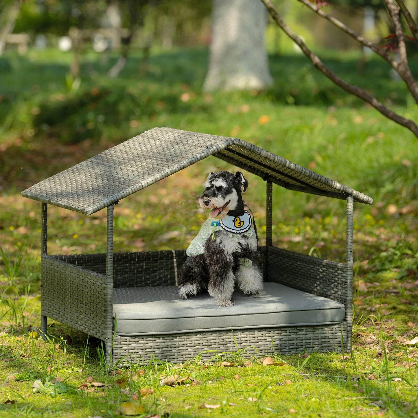 Wicker Dog Bed With Canopy