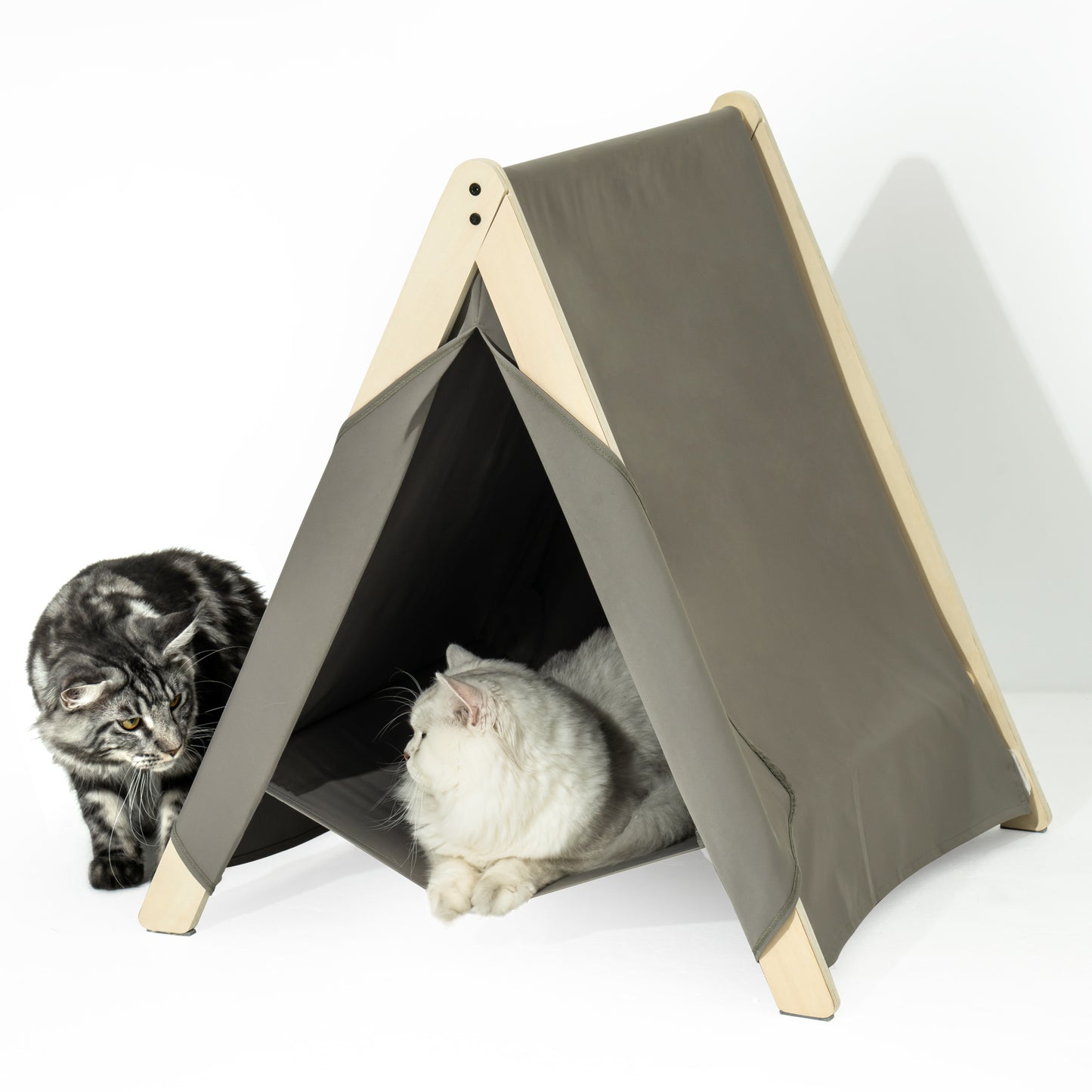 Cat Tent for Indoor Cats