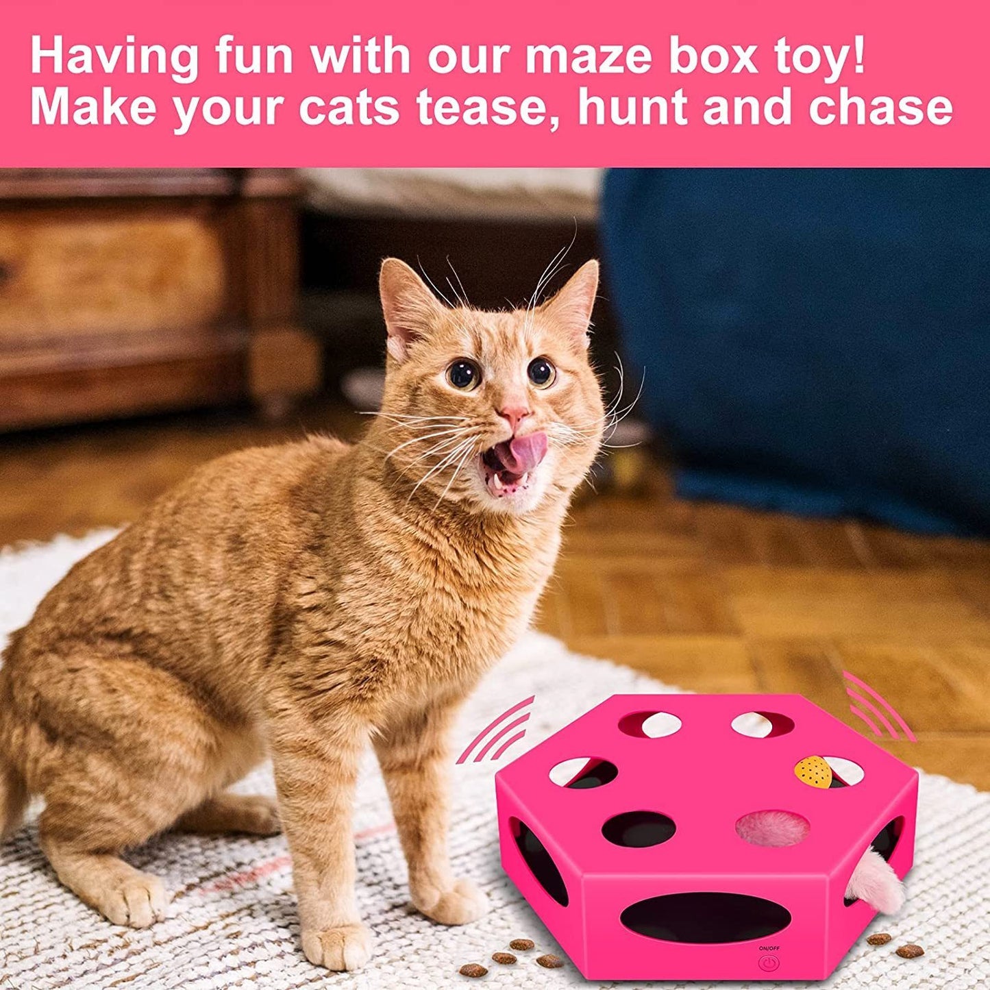 FluffyDream Interactive Cat Maze Box Toy