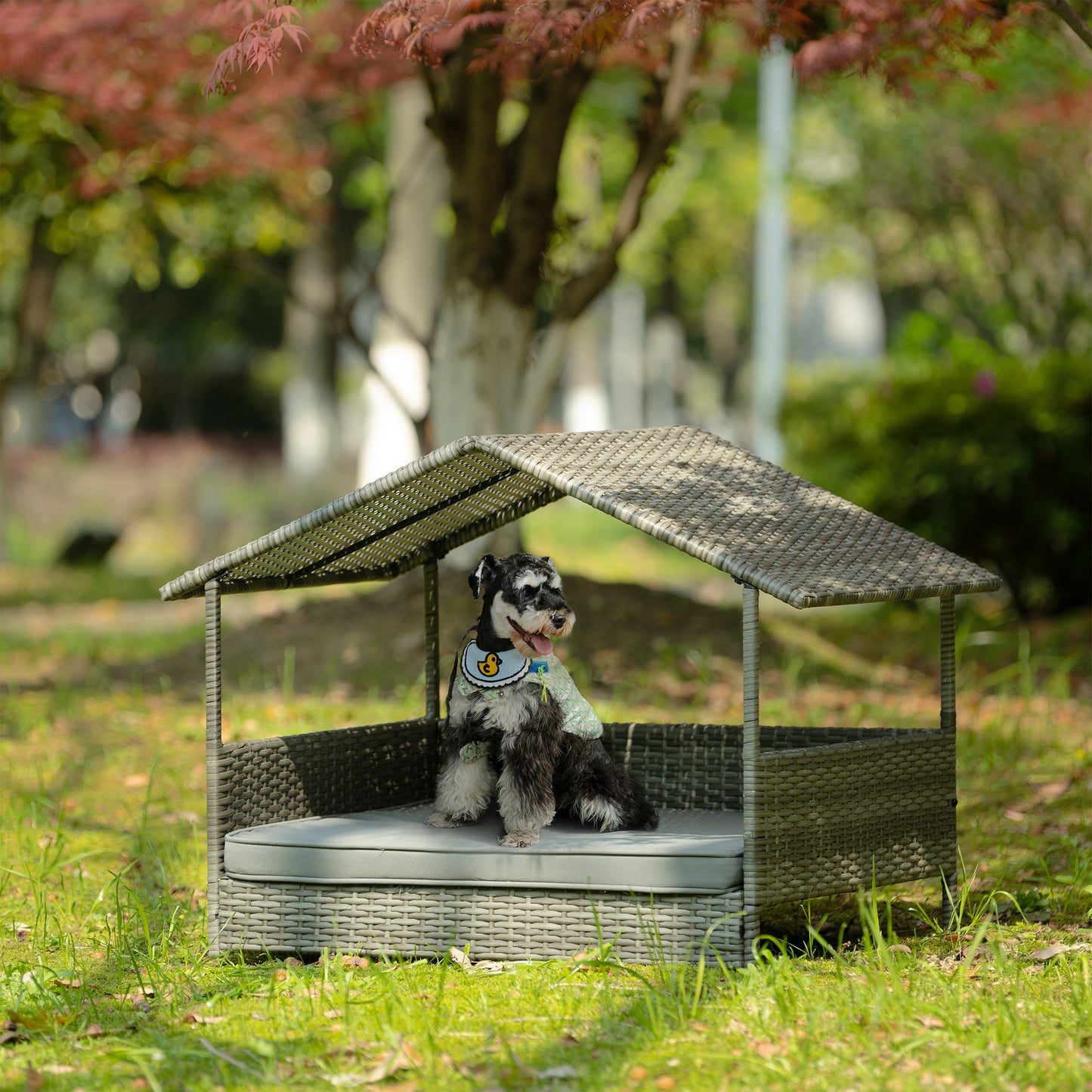 Wicker Dog Bed With Canopy