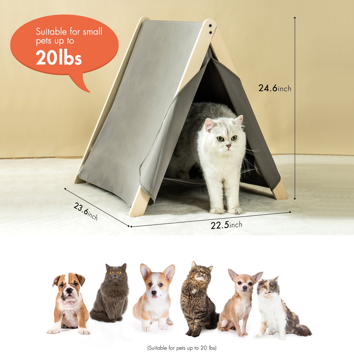 Cat Tent for Indoor Cats